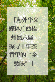 海外华文媒体广西梧州品六堡 探寻千年茶香里的“乡愁味”
