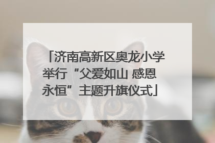 济南高新区奥龙小学举行“父爱如山 感恩永恒”主题升旗仪式