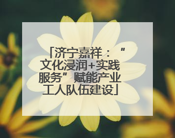 济宁嘉祥：“文化浸润+实践服务”赋能产业工人队伍建设