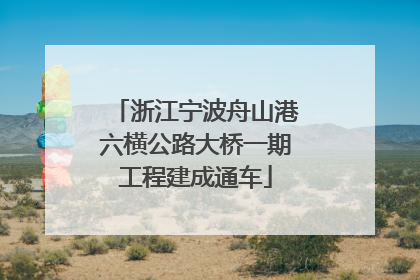 浙江宁波舟山港六横公路大桥一期工程建成通车