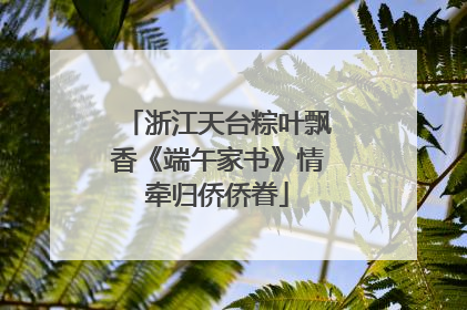 浙江天台粽叶飘香《端午家书》情牵归侨侨眷