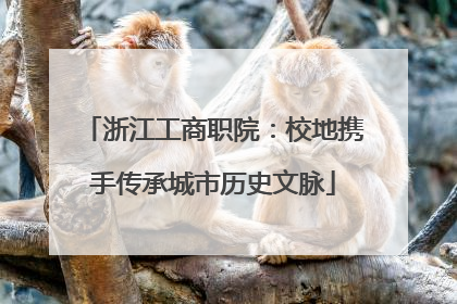 浙江工商职院：校地携手传承城市历史文脉