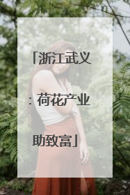 浙江武义：荷花产业助致富