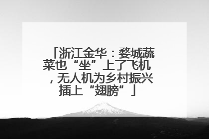 浙江金华：婺城蔬菜也“坐”上了飞机，无人机为乡村振兴插上“翅膀”