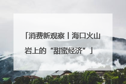 消费新观察丨海口火山岩上的“甜蜜经济”