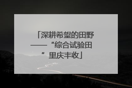 深耕希望的田野——“综合试验田”里庆丰收