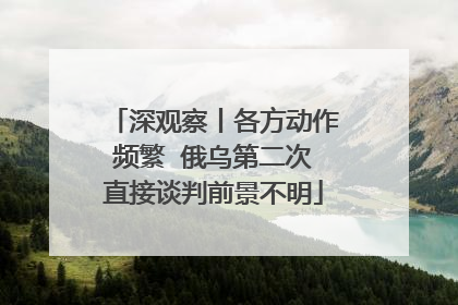 深观察丨各方动作频繁  俄乌第二次直接谈判前景不明