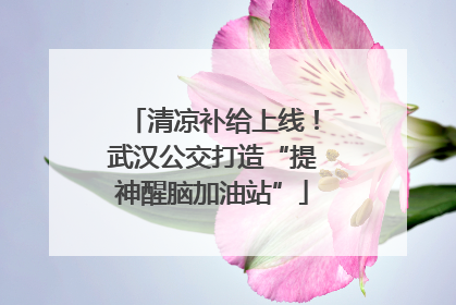 清凉补给上线！武汉公交打造“提神醒脑加油站”