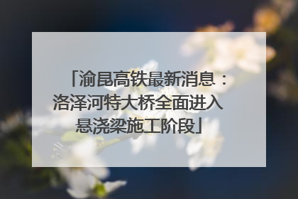 渝昆高铁最新消息：洛泽河特大桥全面进入悬浇梁施工阶段