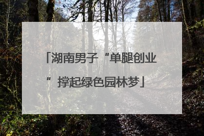 湖南男子“单腿创业”撑起绿色园林梦