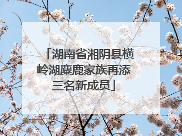 湖南省湘阴县横岭湖麋鹿家族再添三名新成员