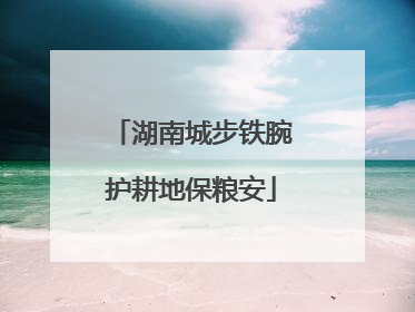 湖南城步铁腕护耕地保粮安