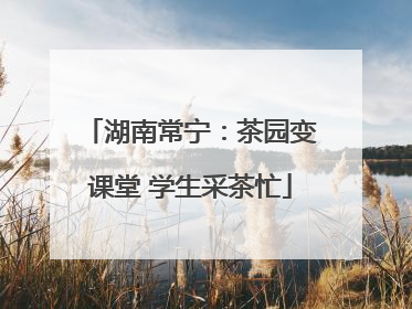 湖南常宁：茶园变课堂 学生采茶忙