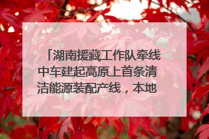 湖南援藏工作队牵线中车建起高原上首条清洁能源装配产线，本地大学生成车间检验员