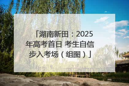 湖南新田：2025年高考首日 考生自信步入考场（组图）