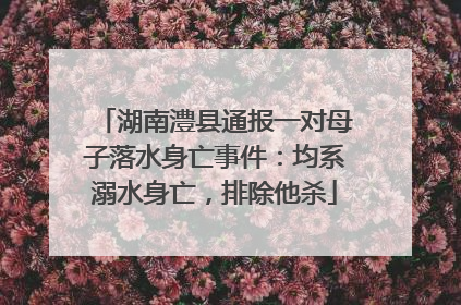 湖南澧县通报一对母子落水身亡事件：均系溺水身亡，排除他杀