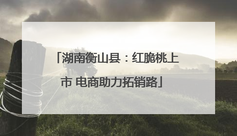 湖南衡山县：红脆桃上市 电商助力拓销路