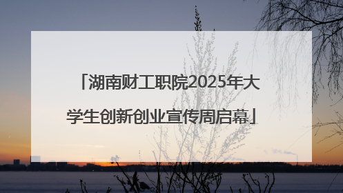 湖南财工职院2025年大学生创新创业宣传周启幕