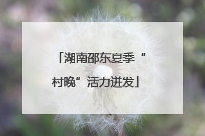 湖南邵东夏季“村晚”活力迸发