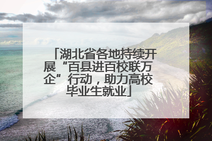 湖北省各地持续开展“百县进百校联万企”行动，助力高校毕业生就业