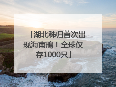 湖北秭归首次出现海南鳽！全球仅存1000只