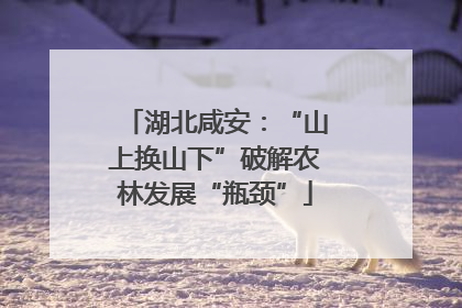 湖北咸安：“山上换山下”破解农林发展“瓶颈”