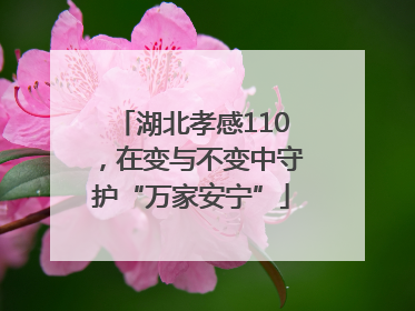 湖北孝感110，在变与不变中守护“万家安宁”