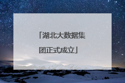 湖北大数据集团正式成立