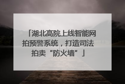 湖北高院上线智能网拍预警系统，打造司法拍卖“防火墙”