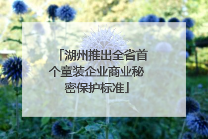 湖州推出全省首个童装企业商业秘密保护标准