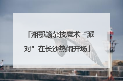 湘鄂赣杂技魔术“派对”在长沙热闹开场