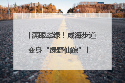 满眼翠绿！威海步道变身“绿野仙踪”