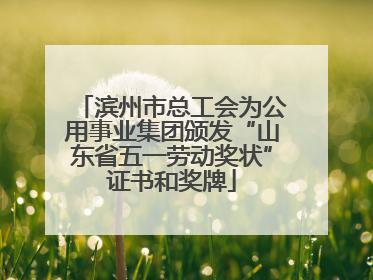 滨州市总工会为公用事业集团颁发“山东省五一劳动奖状”证书和奖牌