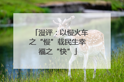 漫评：以慢火车之“慢”载民生幸福之“快”