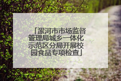 漯河市市场监督管理局城乡一体化示范区分局开展校园食品专项检查