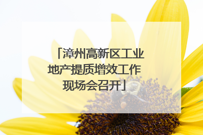 漳州高新区工业地产提质增效工作现场会召开