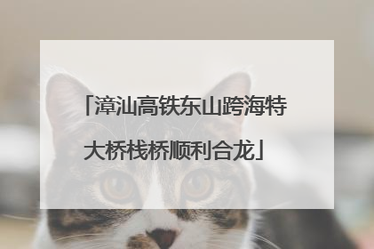 漳汕高铁东山跨海特大桥栈桥顺利合龙