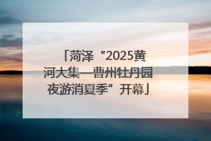 菏泽“2025黄河大集—曹州牡丹园夜游消夏季”开幕