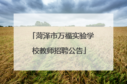 菏泽市万福实验学校教师招聘公告