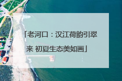 老河口：汉江荷韵引翠来 初夏生态美如画