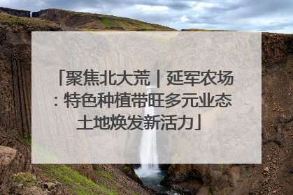聚焦北大荒｜延军农场：特色种植带旺多元业态 土地焕发新活力