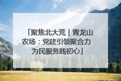 聚焦北大荒｜青龙山农场：党建引领聚合力 为民服务践初心