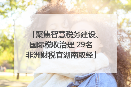 聚焦智慧税务建设、国际税收治理 29名非洲财税官湖南取经