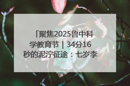 聚焦2025鲁中科学教育节｜34分16秒的泥泞征途：七岁李昀松的“带泥勋章”