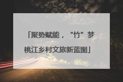 聚势赋能，“竹”梦桃江乡村文旅新蓝图
