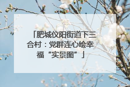 肥城仪阳街道下三合村：党群连心绘幸福“实景图”