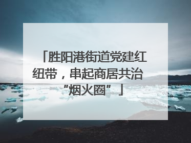 胜阳港街道党建红纽带，串起商居共治 “烟火圈”