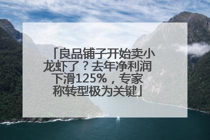 良品铺子开始卖小龙虾了？去年净利润下滑125%，专家称转型极为关键
