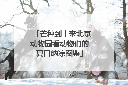 芒种到丨来北京动物园看动物们的夏日纳凉图鉴