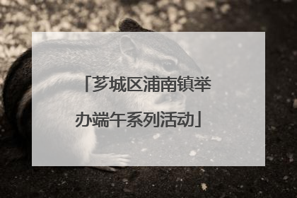 芗城区浦南镇举办端午系列活动